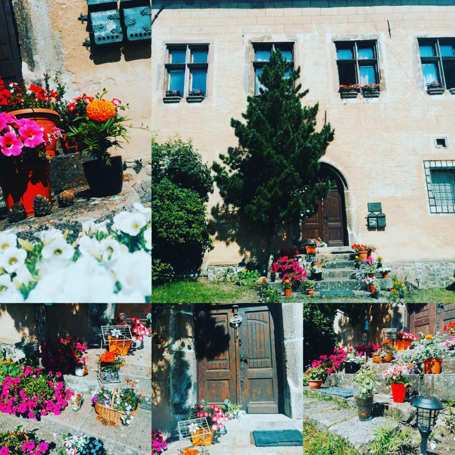 Gothic House Apartments Kremnica Exteriér fotografie